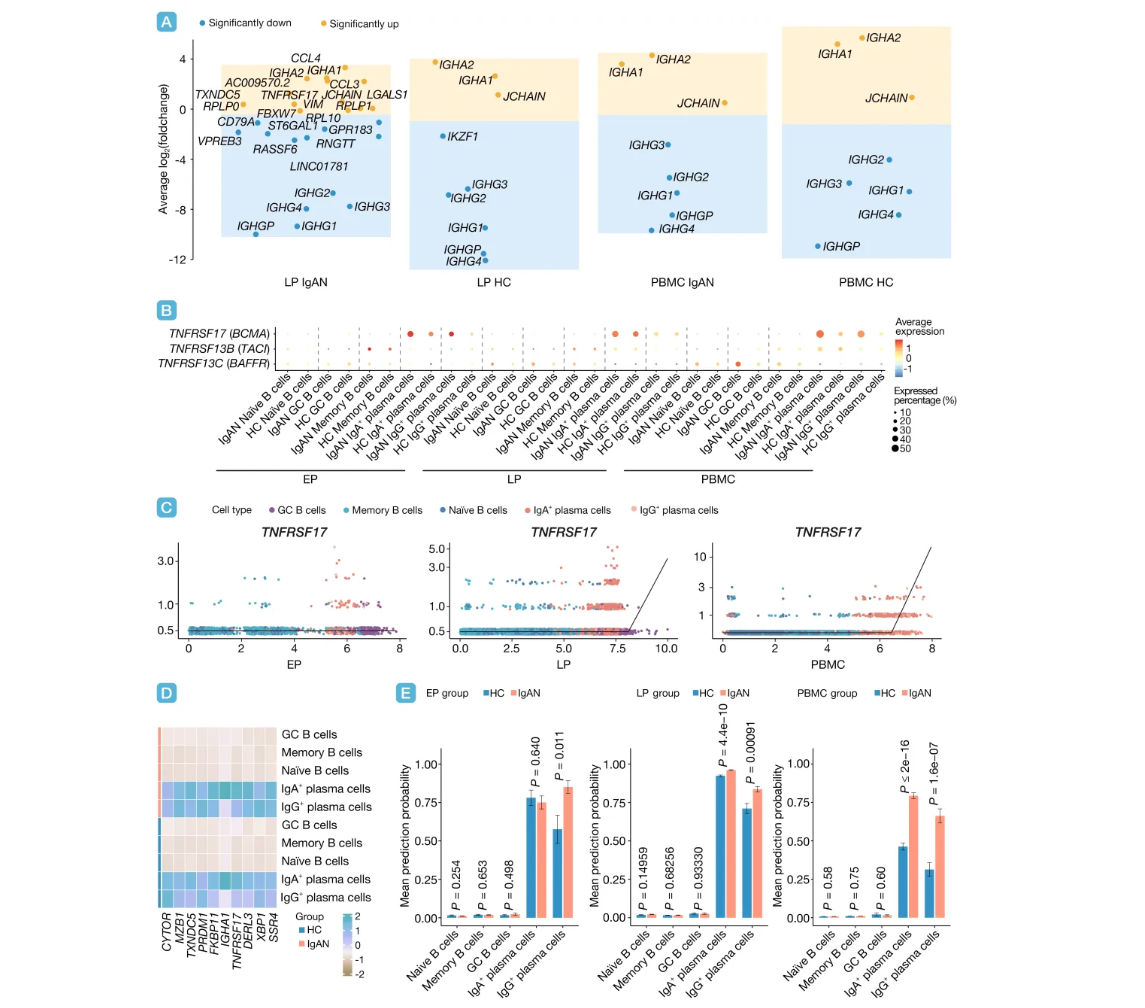 ��Ļ��ͼ 2026-03-20 165343.png