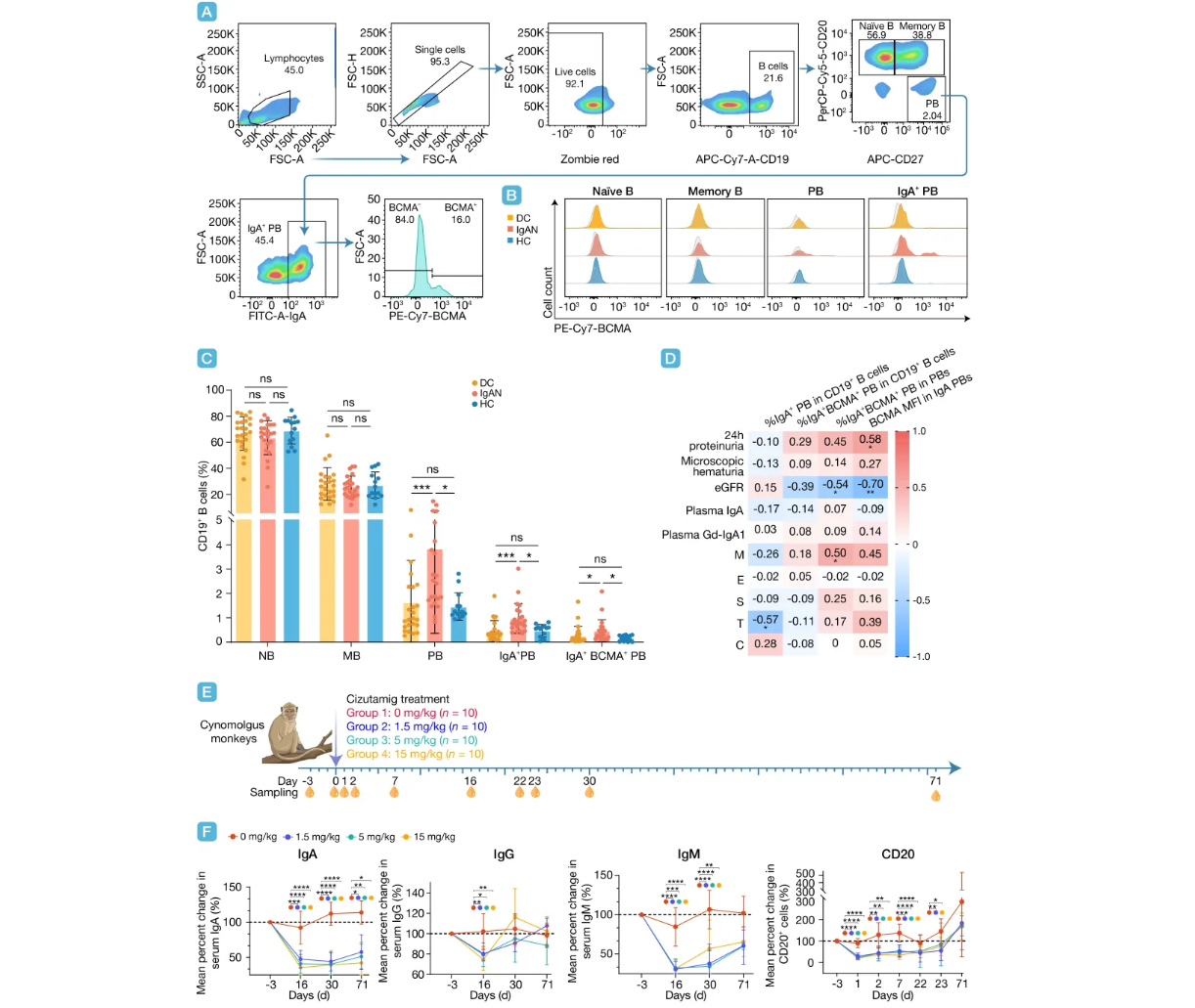 ��Ļ��ͼ 2026-03-20 165352.png