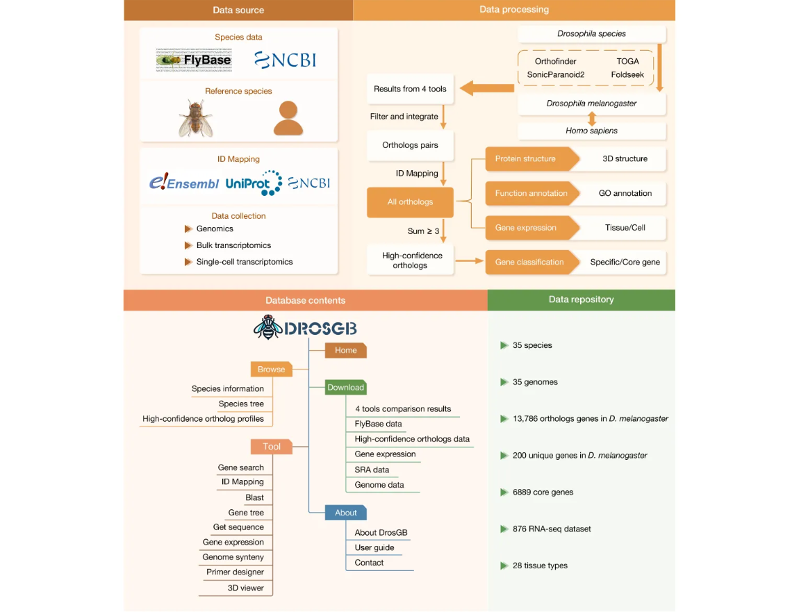 ��Ļ��ͼ 2026-03-20 170929.png