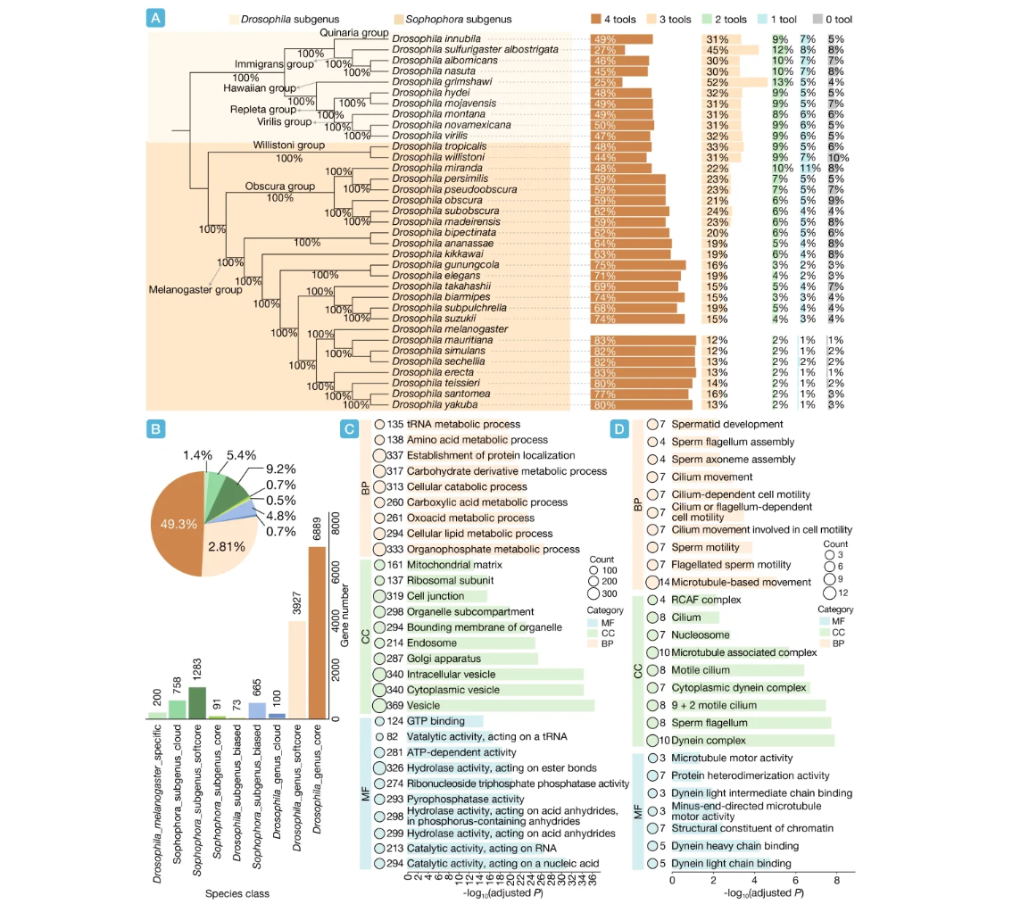 ��Ļ��ͼ 2026-03-20 170949.png