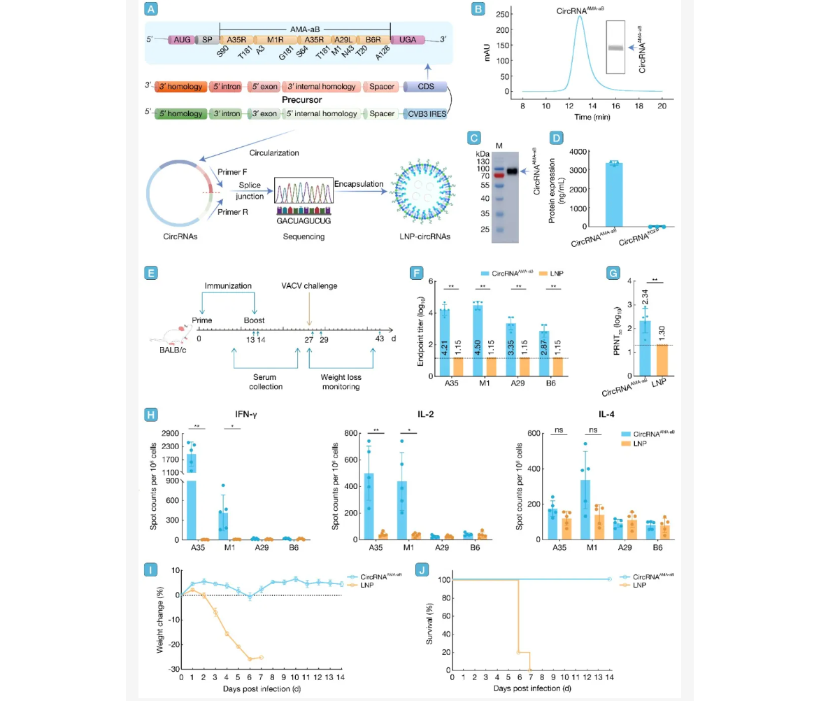 ��Ļ��ͼ 2026-03-20 171505.png