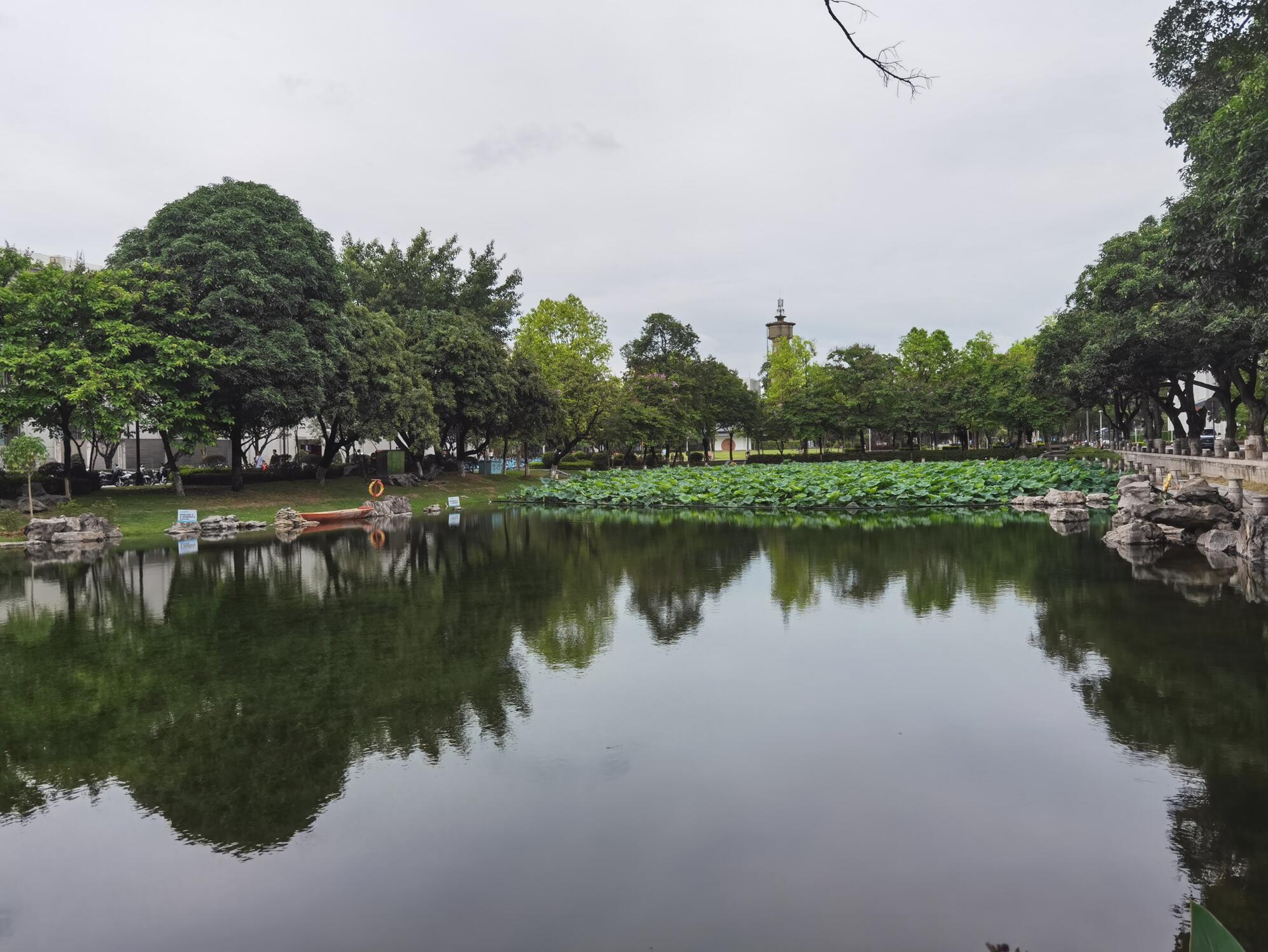 南宁广西大学校园阴天08.jpg