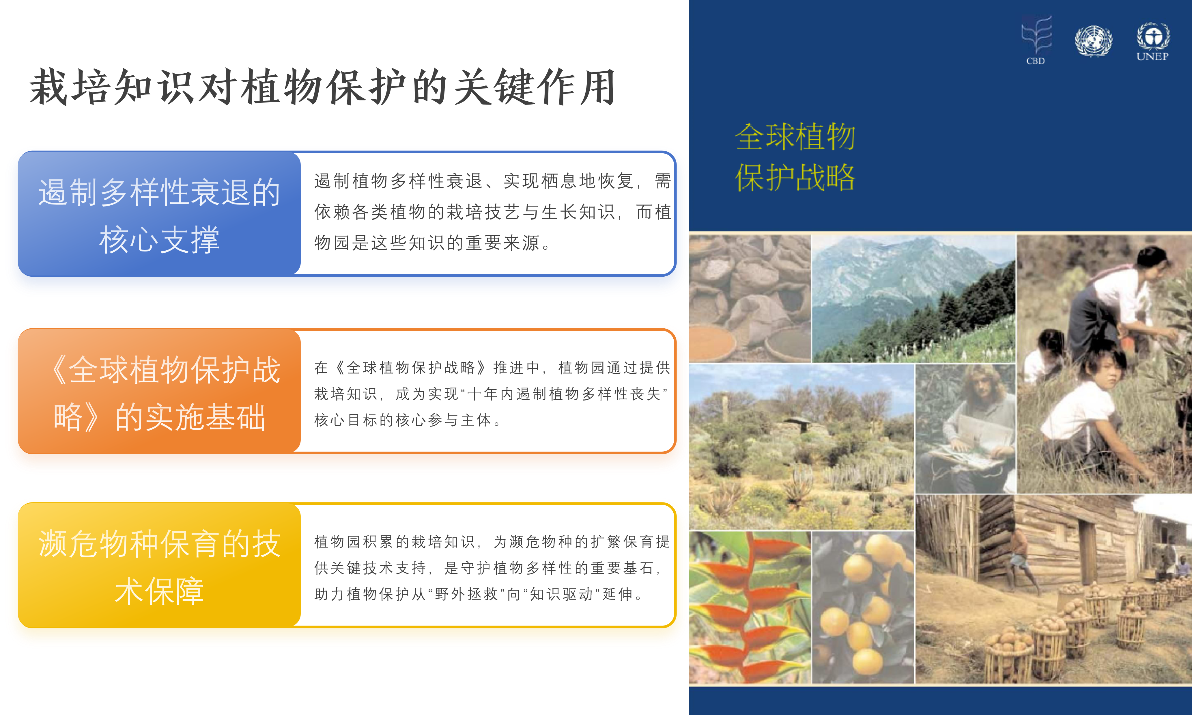 ͼ3 ֲ������֪ʶ��ֲ�ﱣ���Ĺؼ�����.png