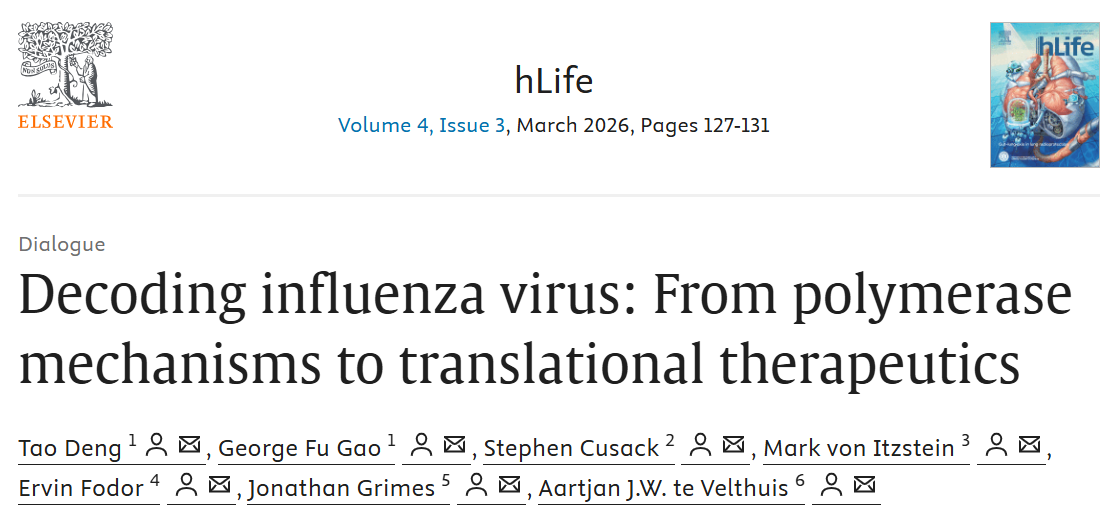 ��Ļ��ͼ 2026-03-13 101140.png