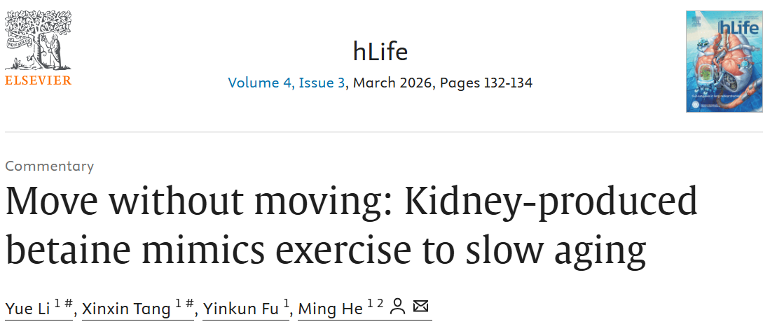 ��Ļ��ͼ 2026-03-13 101728.png