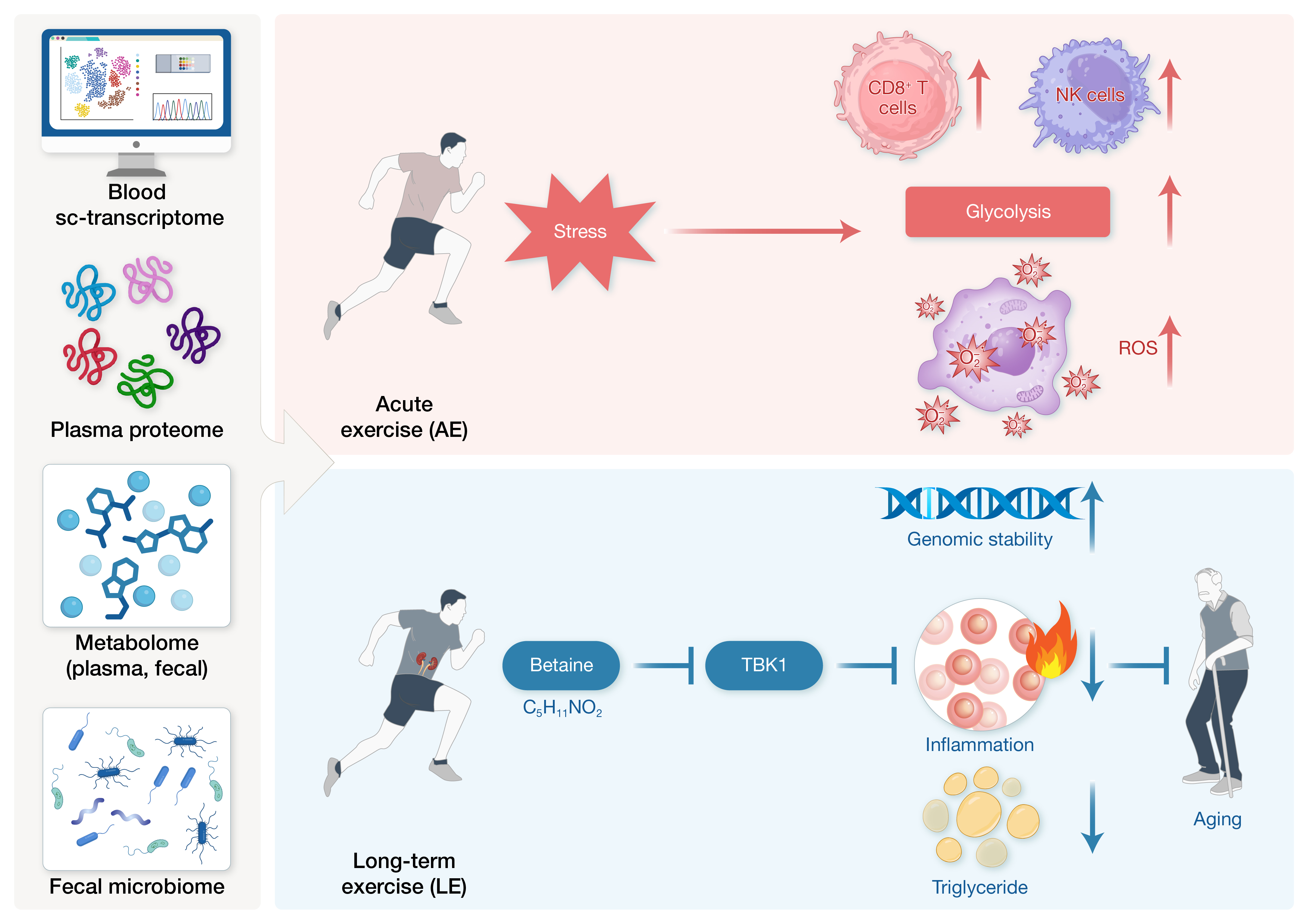HLIFE-D-25-00107_commentary_����-0623_(2 column).jpg