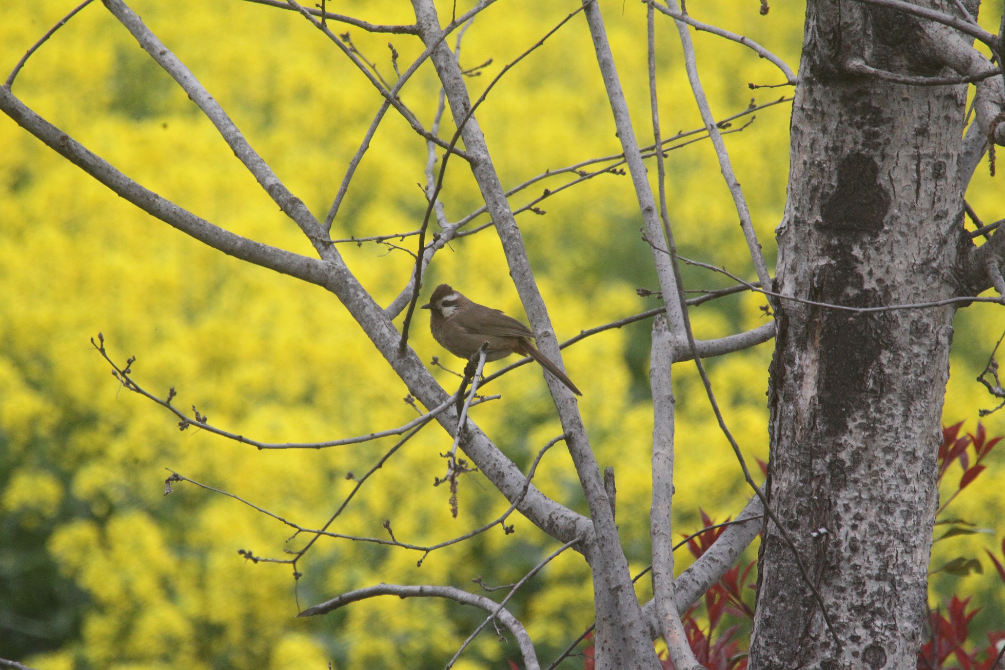 �׼����� ������_9812a.jpg