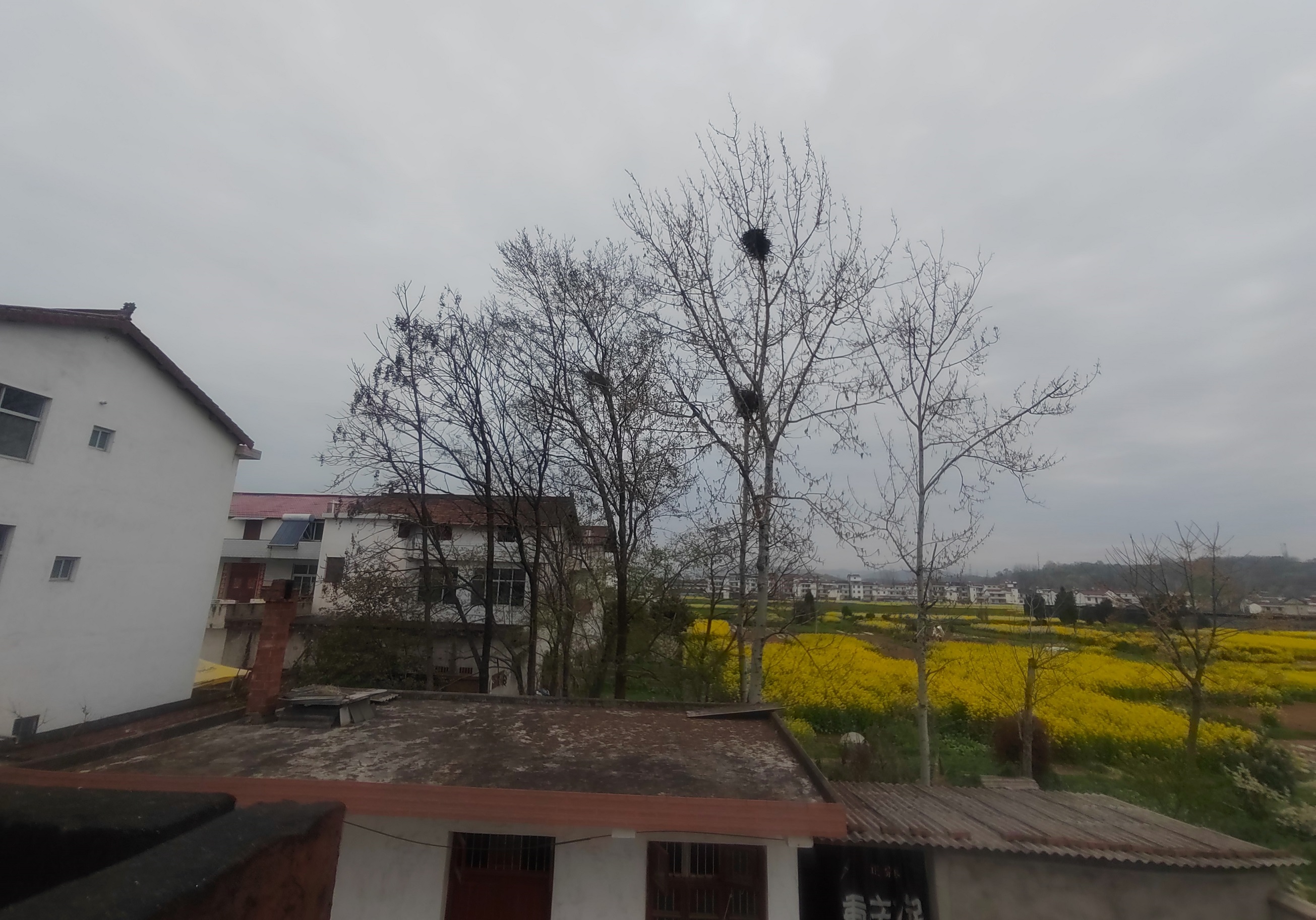 �ھ� ������_20260320a.jpg