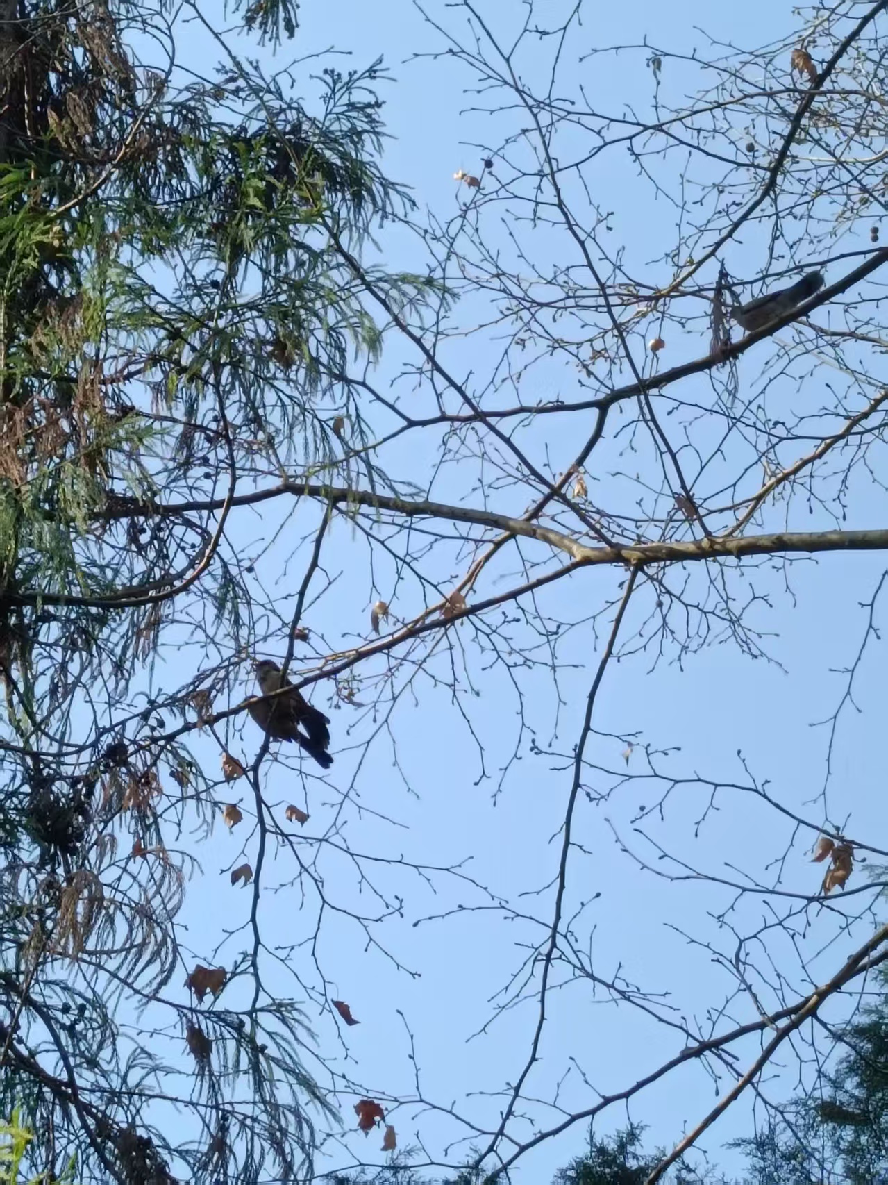 微信图片_20260329102452_548_93.jpg 微信图片_20260329102452_548_93.jpg