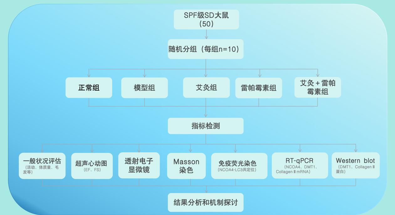 高兵-图片1.jpg