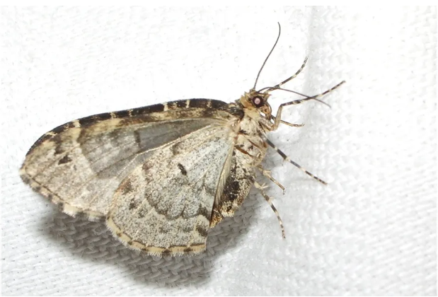 屏幕截图 2026-04-16 171024.png