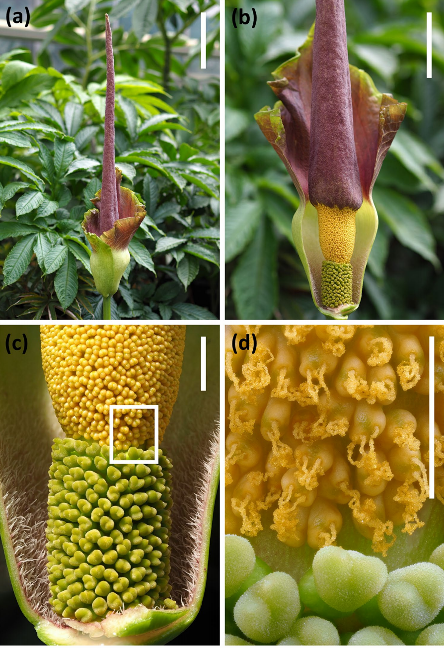 ����2026-04-19 09.36.55.png