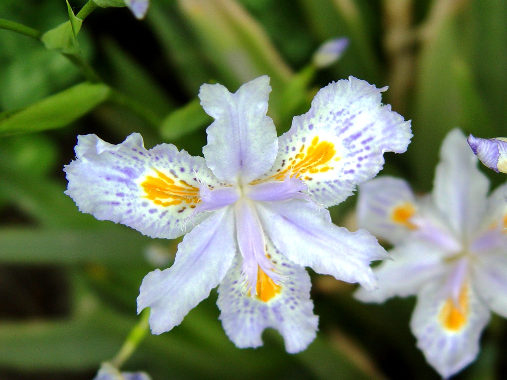 031�β�� �β  ������n (2)_����.jpg