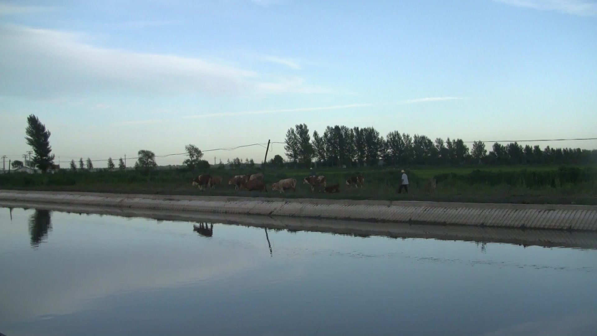 00028 - frame at 0m17s.jpg