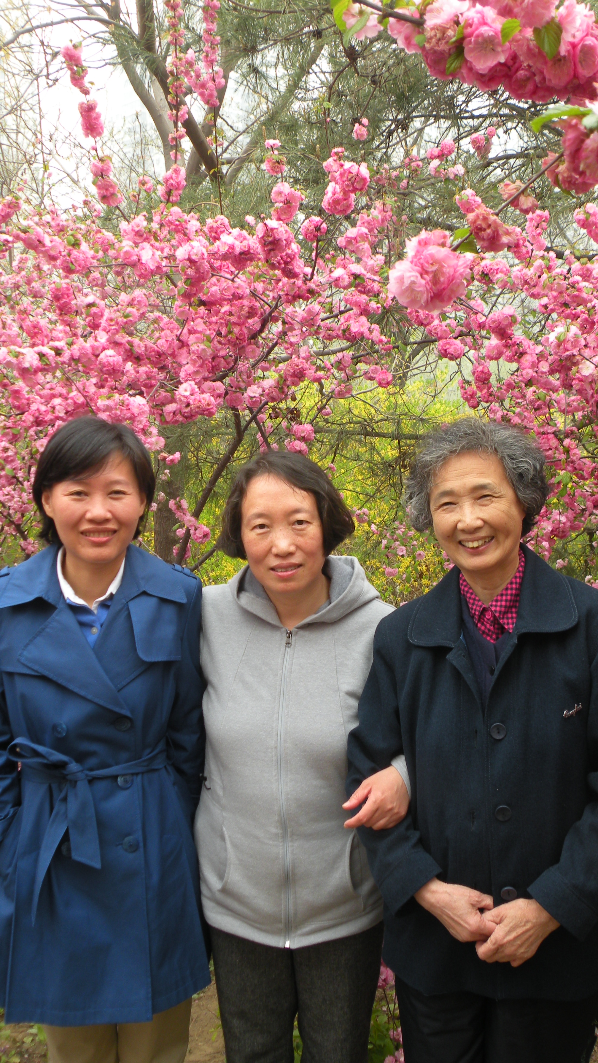 33.37.9 3-36-04 DSCN8646.JPG