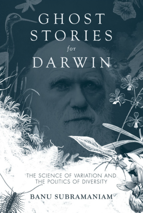 GHOST STORIES for DARWIN.png