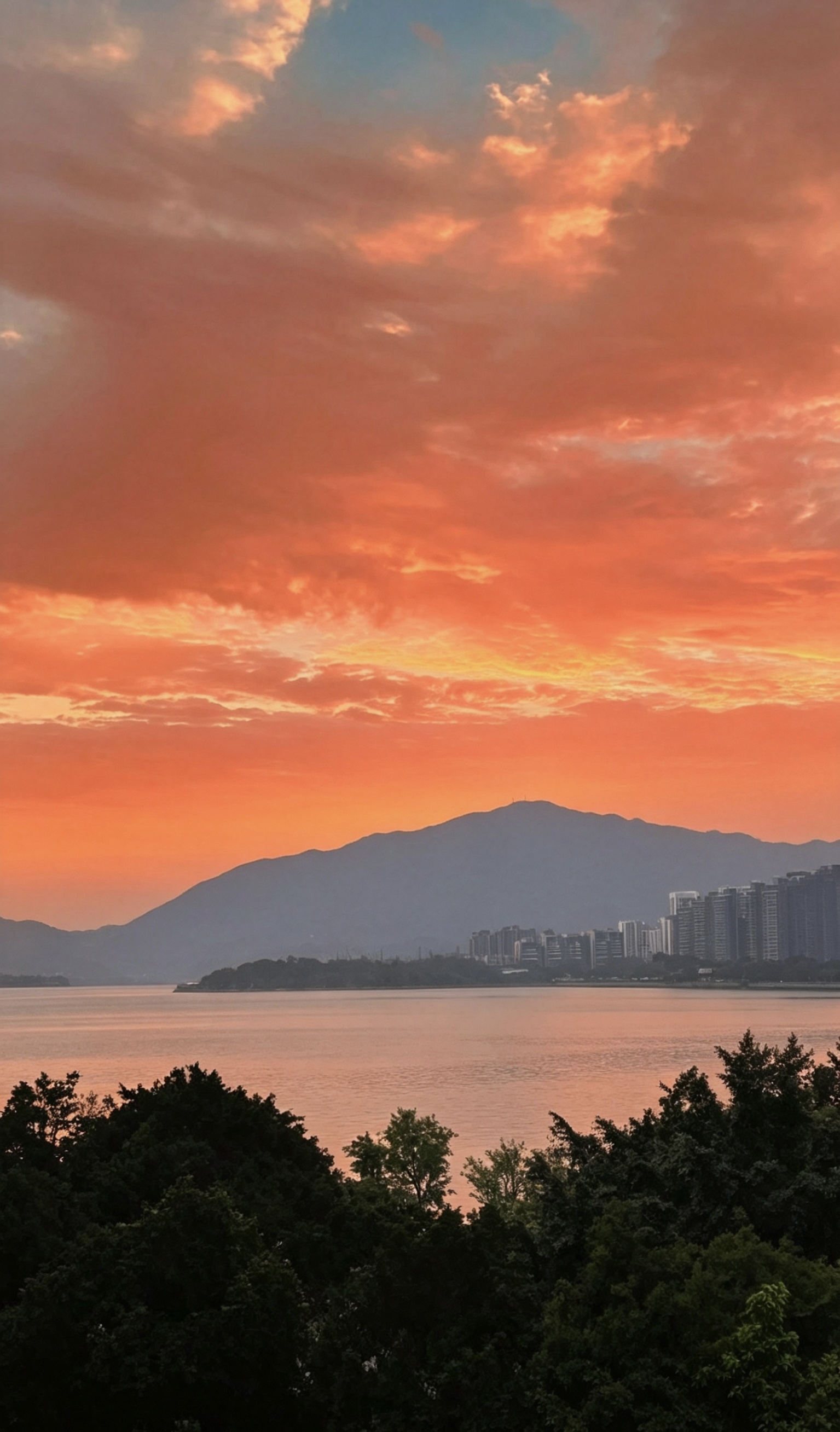 Weixin Image_20260429064555_1202_4.jpg