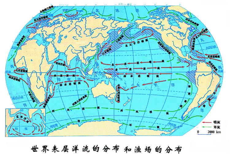 这是正轨教科书上的世界洋流分布,表层洋流是在盛行风作用下大规模的