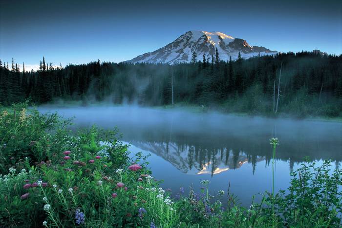 几张静美的图片