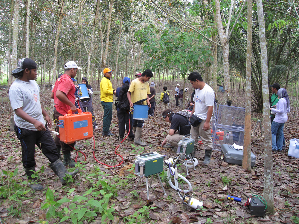 科学网—热带雨林的土壤呼吸对比观测 - 梁乃申的博文