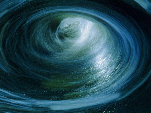 patternsinnature关注对称性