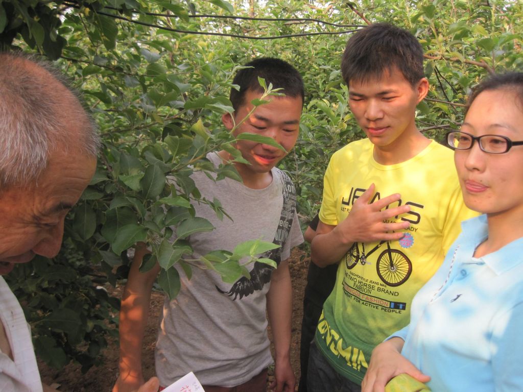 弘毅生态农场啃最硬的骨头:让果园停农药