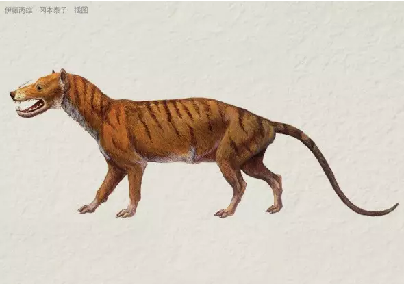 侏罗纪世界安氏中兽图片