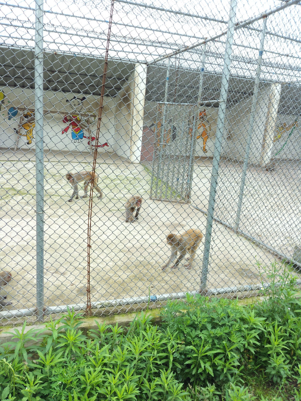 镇江野生动物园图片