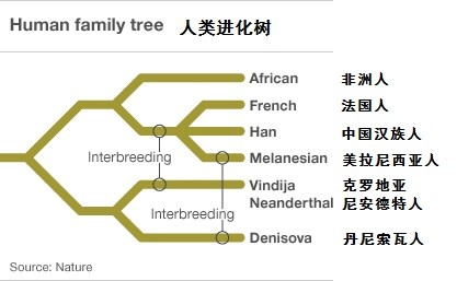 得出这一结论的人并不是考古学家,当然也就没有发掘出古人类头骨等