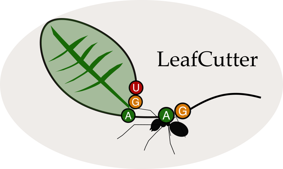 nature genetics:rna剪切检测新工具--leafcutter