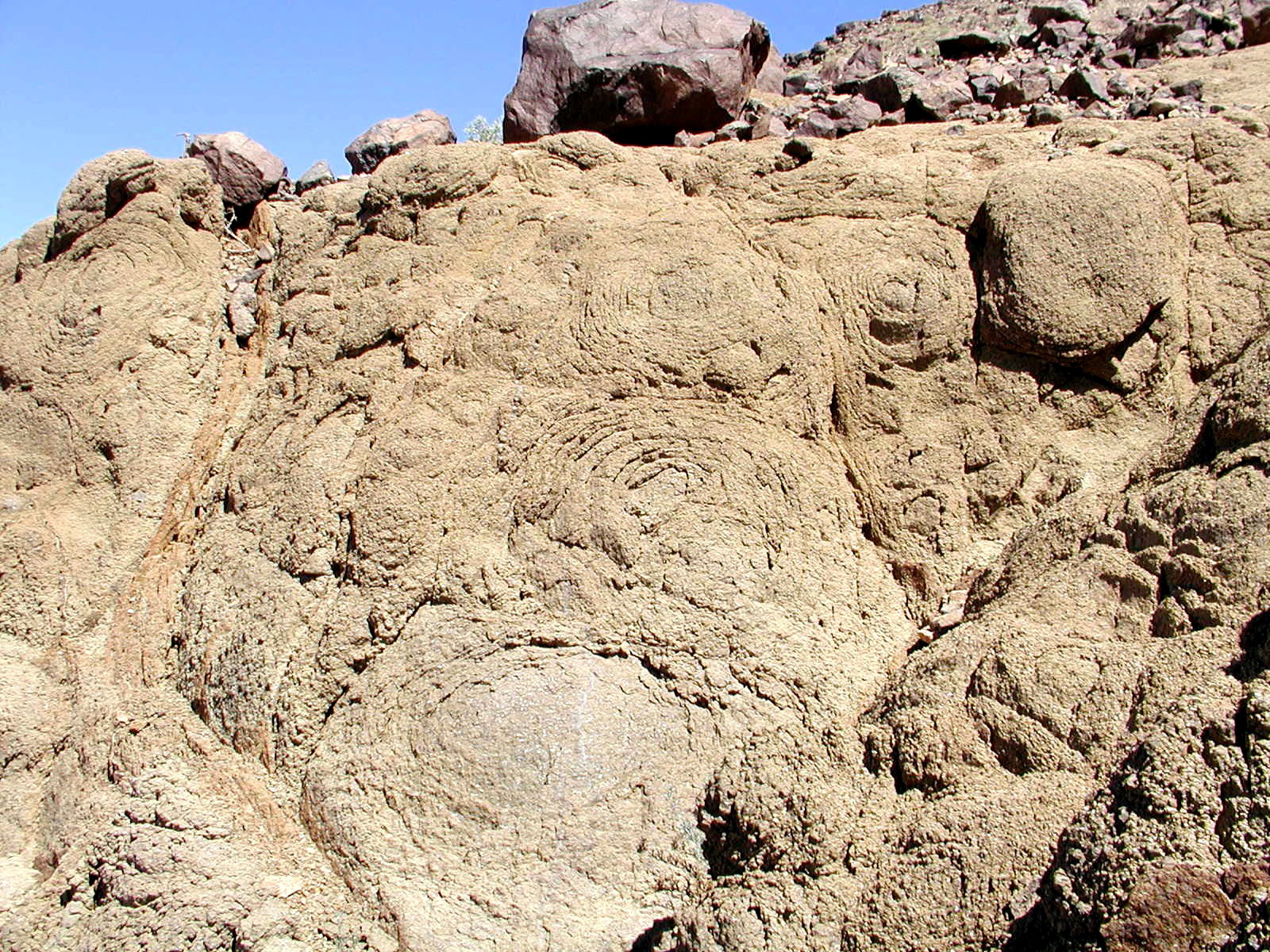 砂砾岩野外描述实例图片
