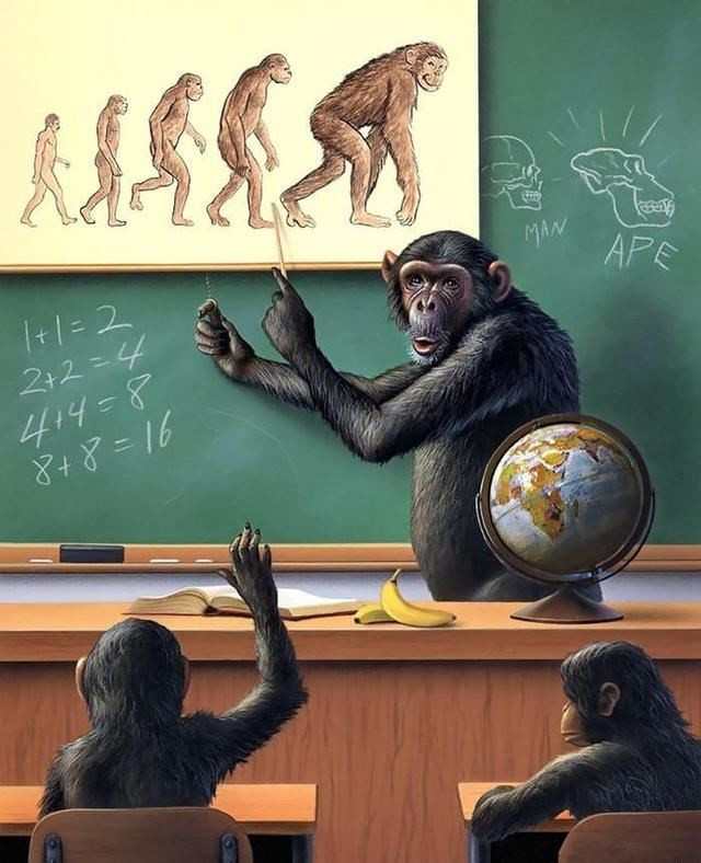 人猿分界的图片