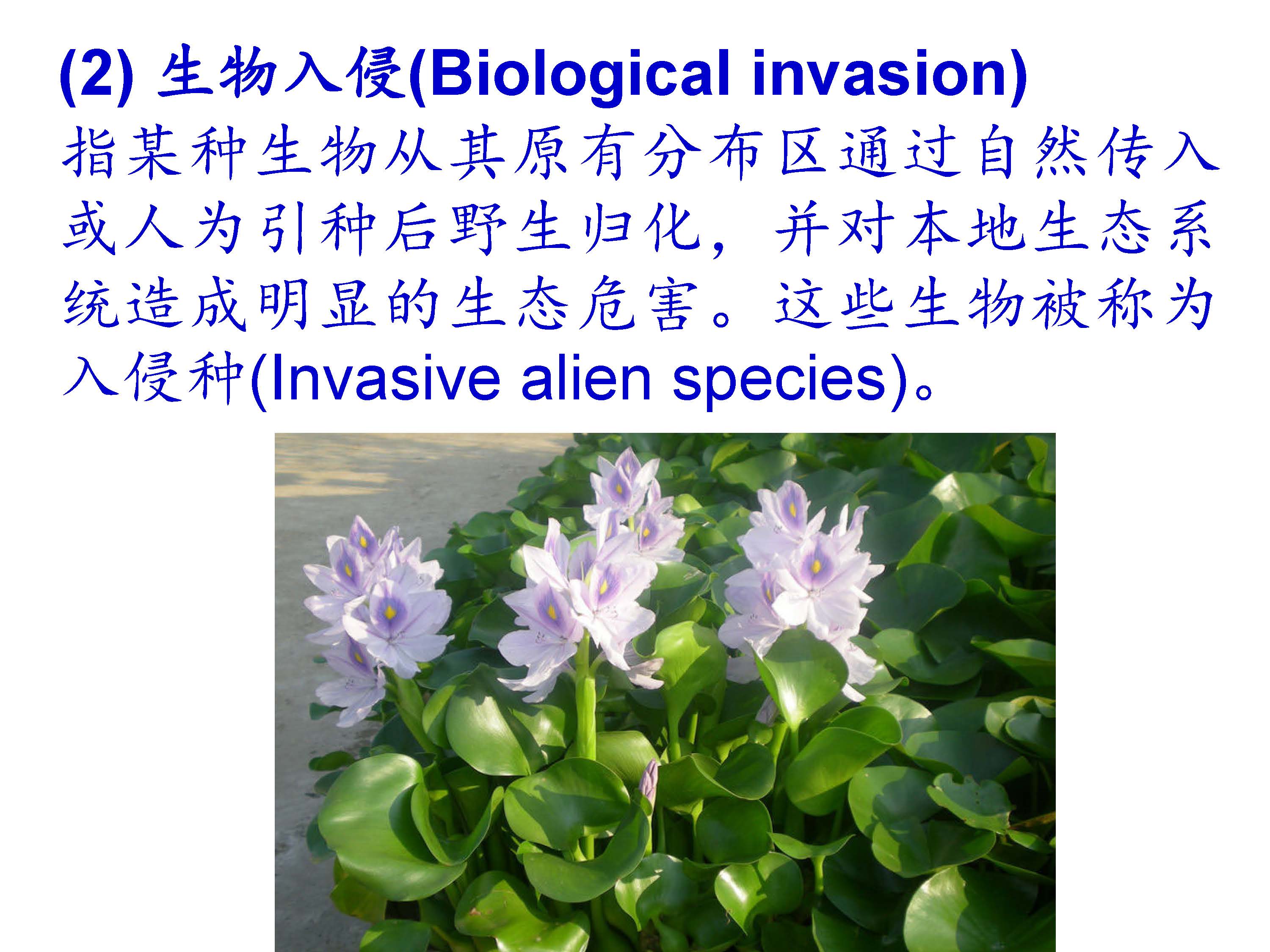 生物入侵及其途径