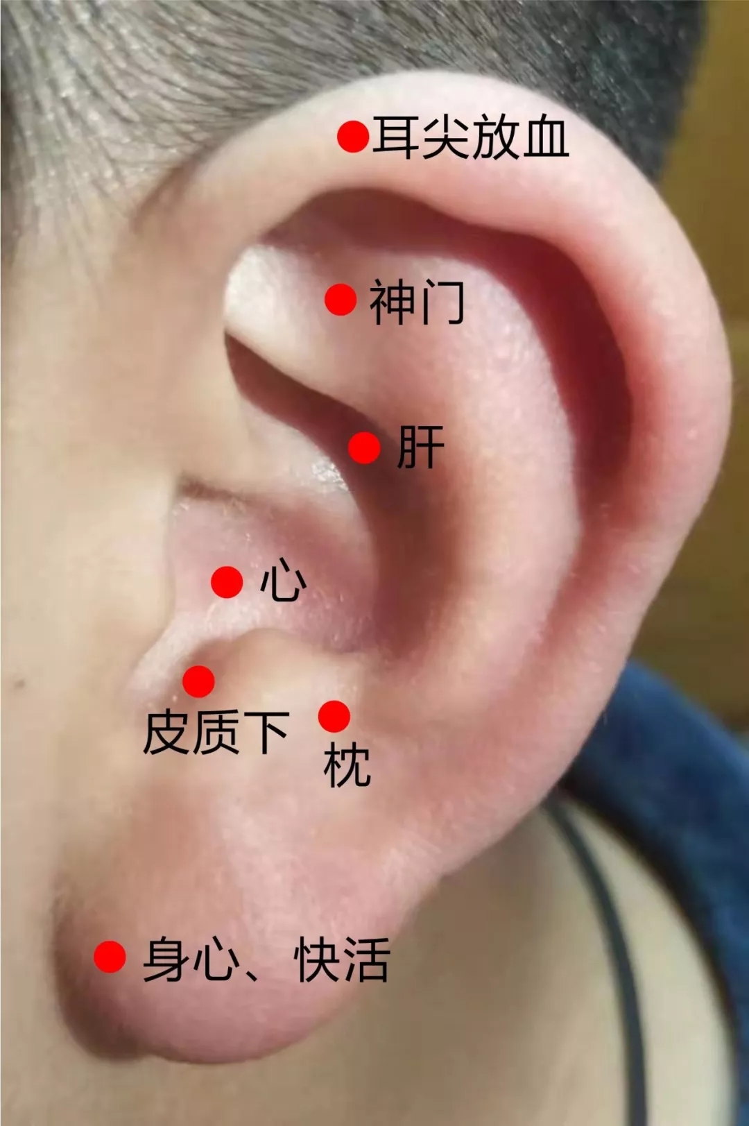 耳门的准确位置图图片