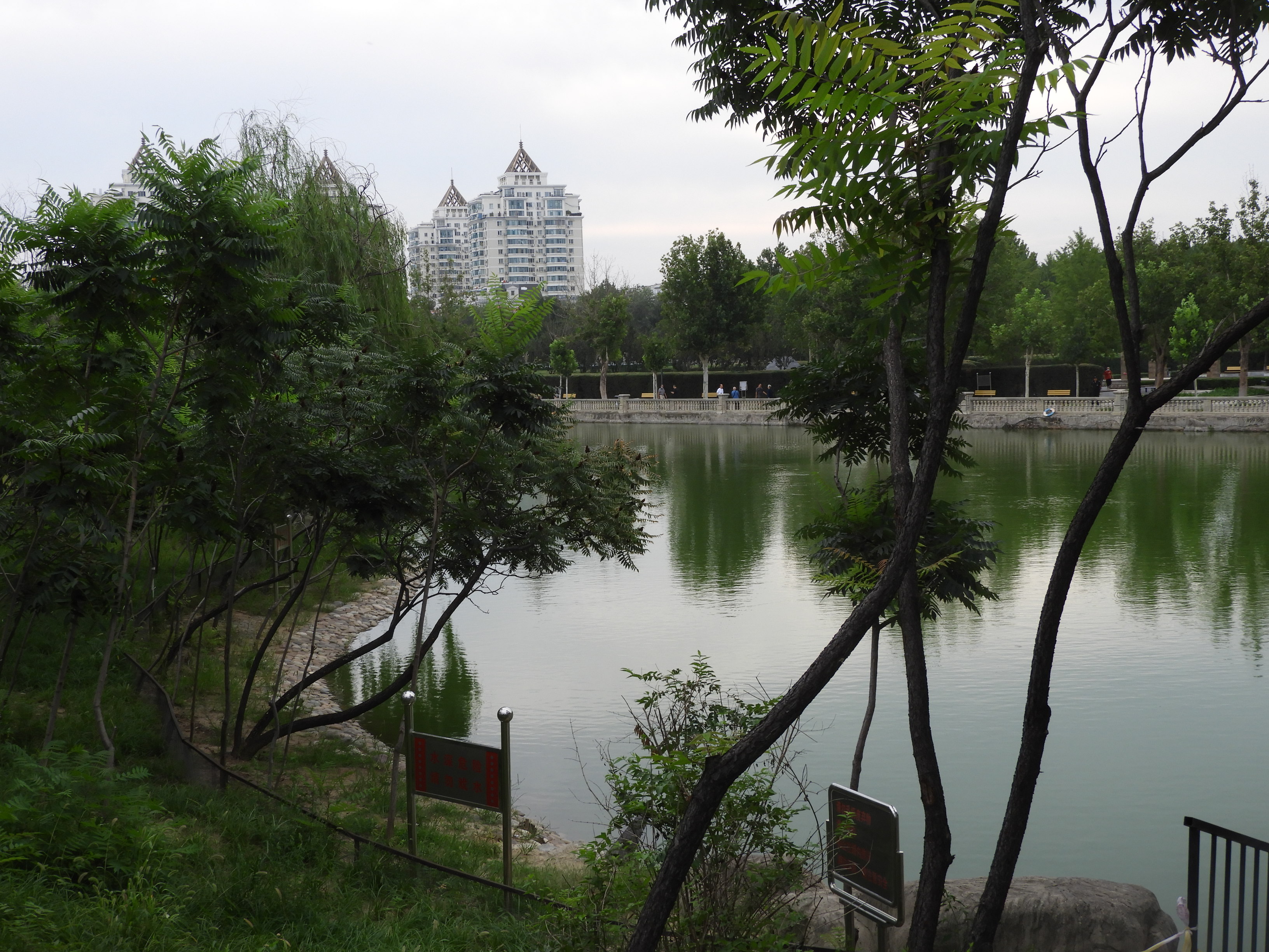 泾县丁桥后山公园图片