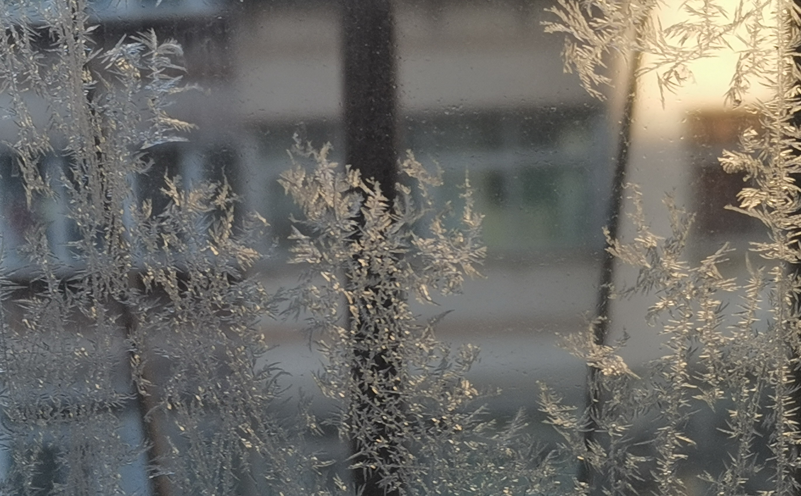 窗户上精致美丽的冰花
