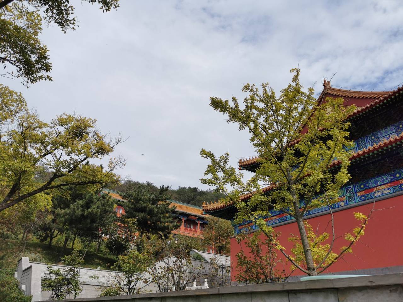 青岛菩提寺图片