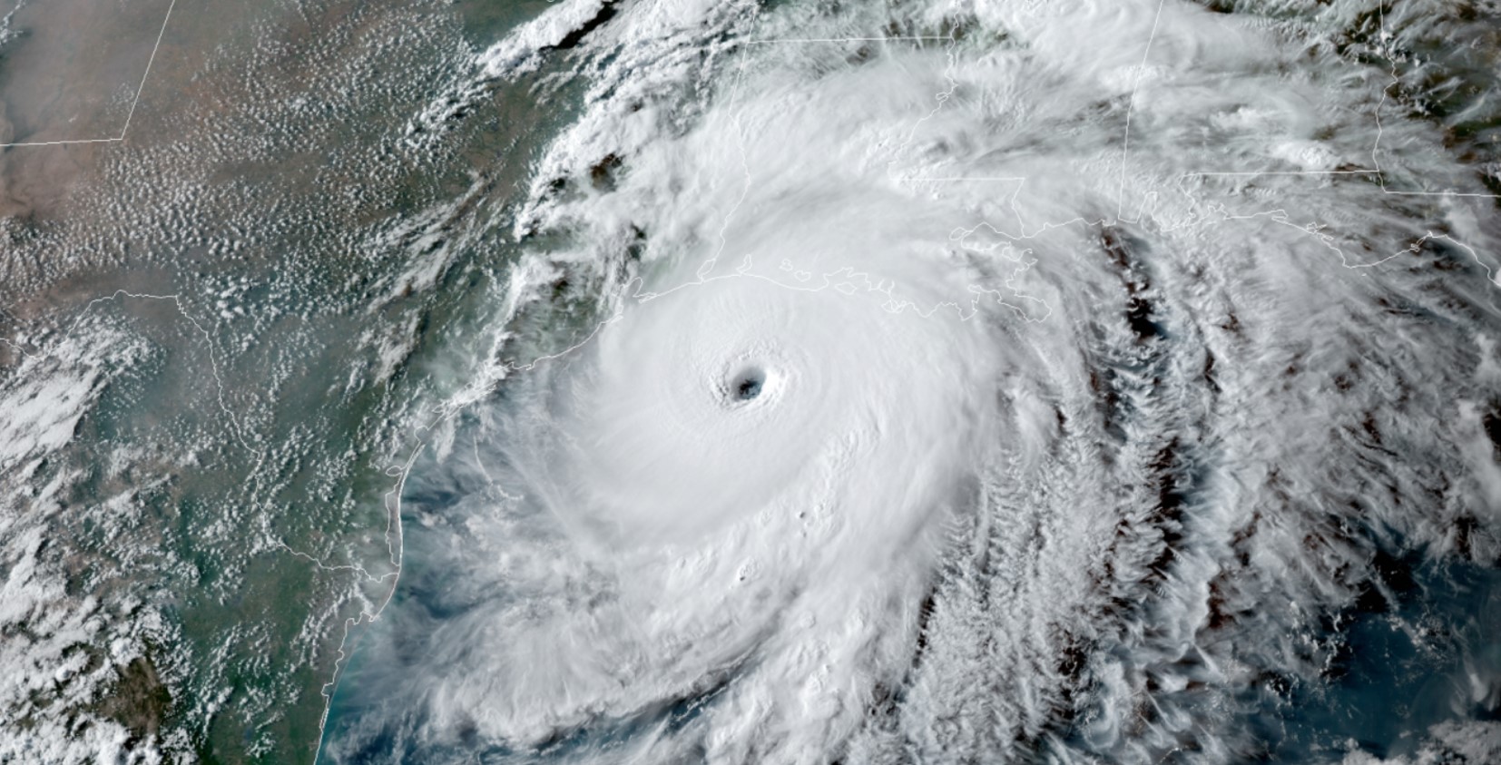 丹泽尔华盛顿飓风图片