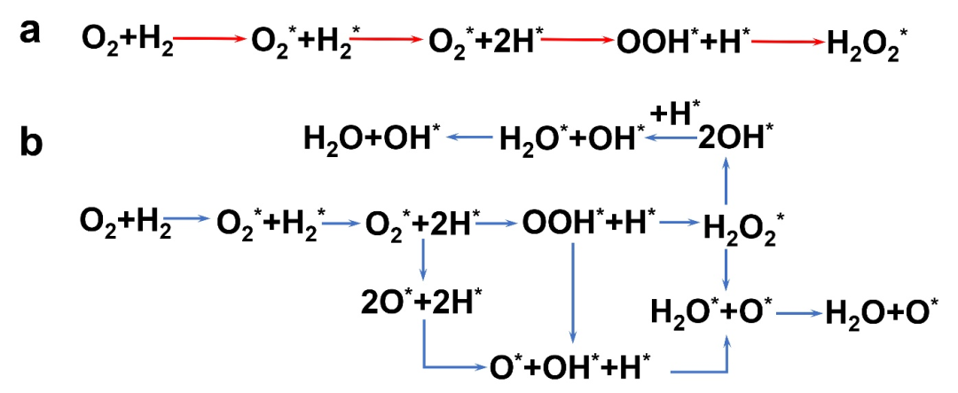 双氧水化学键形成过程图片